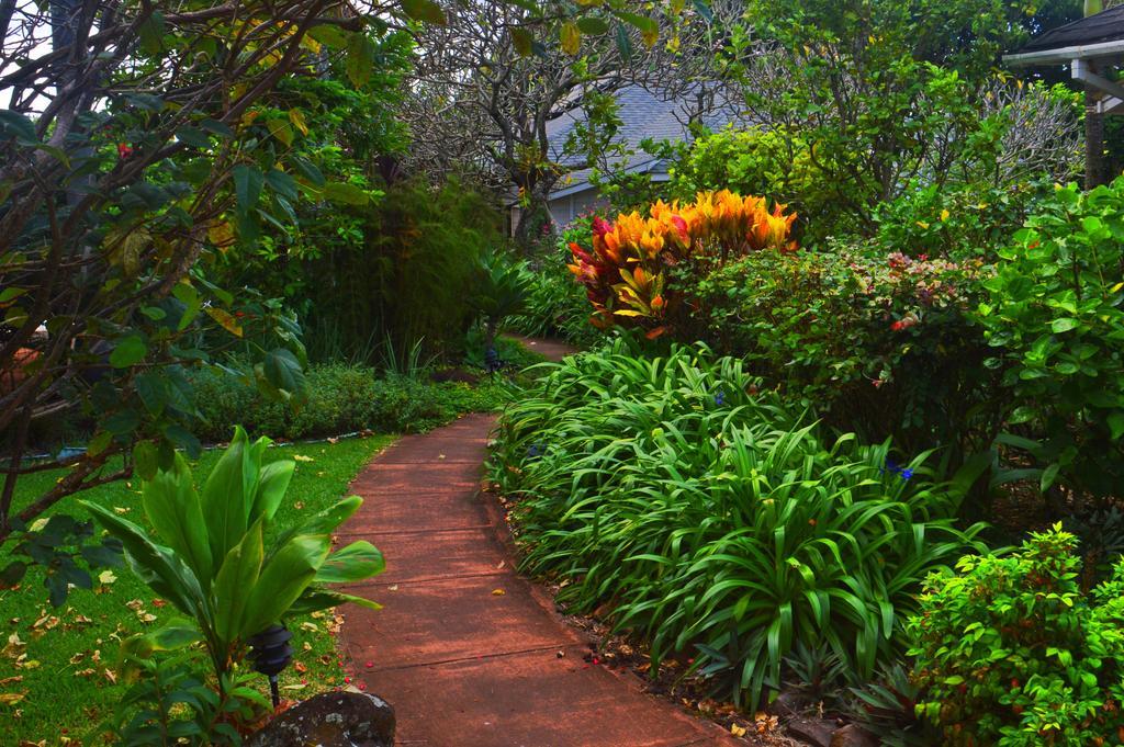 Banyan Tree B&B Retreat Makawao Eksteriør billede